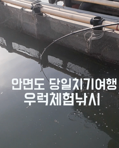 3581f0732d7b8cdf3f3f4c9af22efabf_1684484284_5258.gif 3581f0732d7b8cdf3f3f4c9af22efabf_1684484284_5258.gif