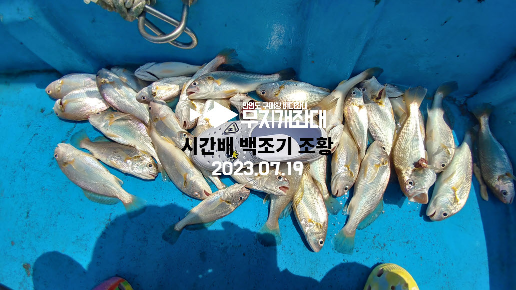 7월19일조황 무지개좌대 시간배 백조기탐사 결과