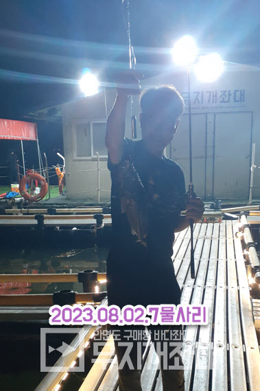 8월2일 7물 사리 안면도야간좌대 우럭낚시 조황