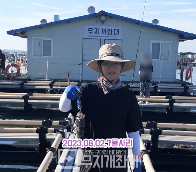 8월2일 7물 사리 안면도야간좌대 우럭낚시 조황