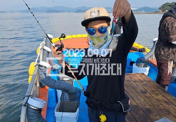 369cc639d4c5625c989bb6d14d89c052_1694143307_6828.jpg 9월7일 안면도좌대 갑오징어 주꾸미 조황