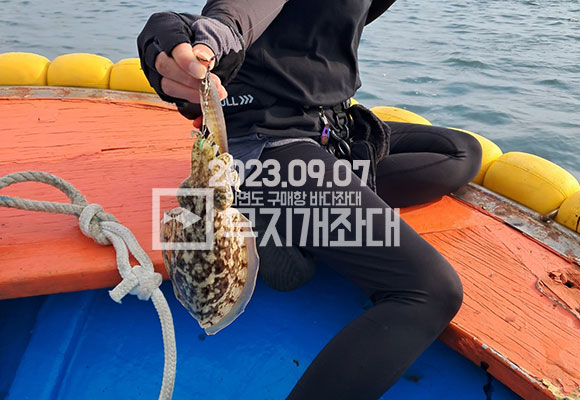 369cc639d4c5625c989bb6d14d89c052_1694143307_9677.jpg 9월7일 안면도좌대 갑오징어 주꾸미 조황