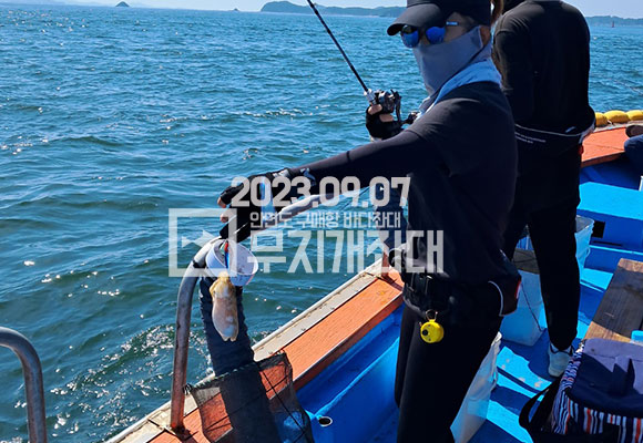 369cc639d4c5625c989bb6d14d89c052_1694143308_1666.jpg 9월7일 안면도좌대 갑오징어 주꾸미 조황
