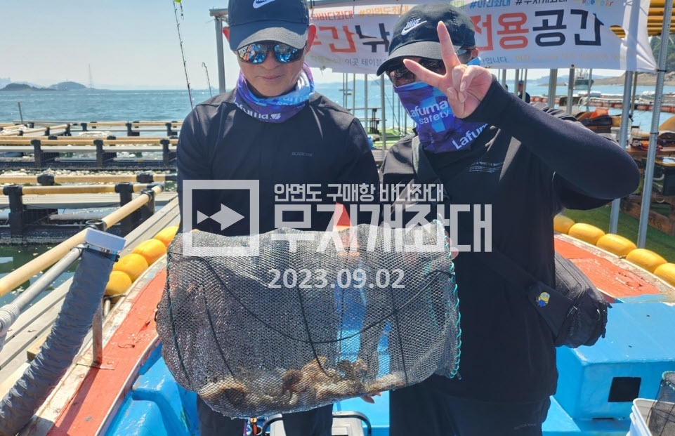 9월2일조황 - 태안 안면도좌대 갑오징어 주꾸미낚시