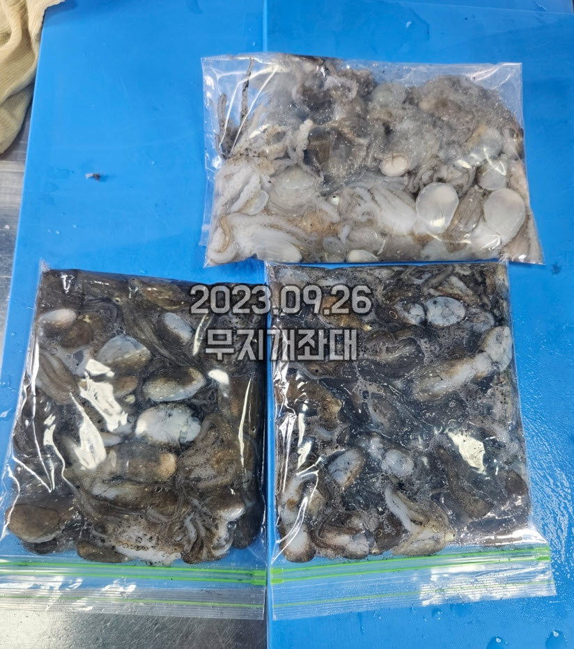525804d6f150ee17ca1996b4c411552a_1695692725_9008.jpg 9월25일-오후조황 광어, 갑오징어, 주꾸미