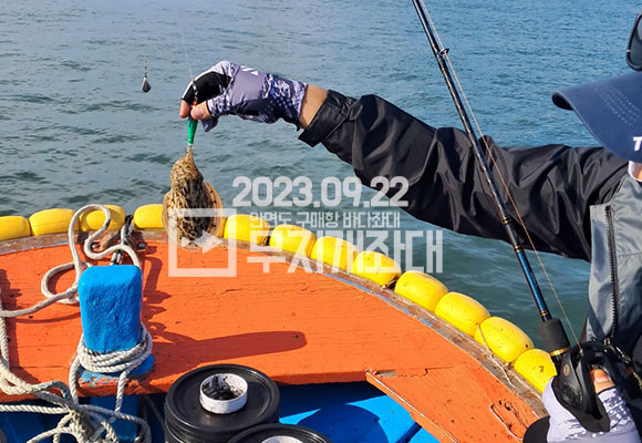 d47f6f14f27157ab12a2f130bb61d603_1695348689_35.jpg 9월22일조황 안면도바다좌대 선상낚시 시간배 갑오징어낚시