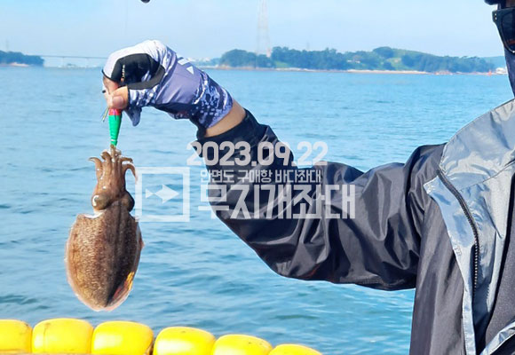 d47f6f14f27157ab12a2f130bb61d603_1695348689_3842.jpg 9월22일조황 안면도바다좌대 선상낚시 시간배 갑오징어낚시
