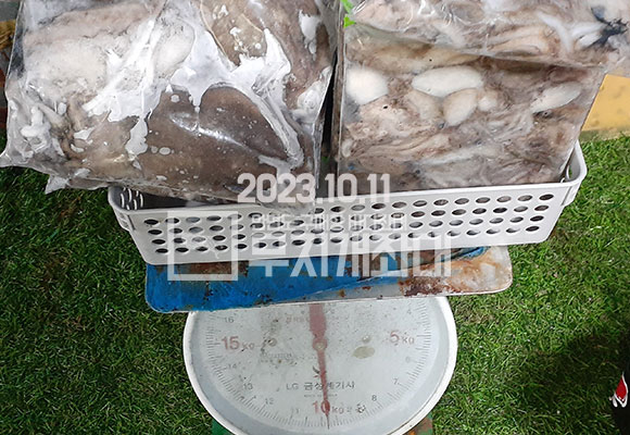 12539e1b511d2b7c7d859c10c147015f_1697095201_8145.jpg 10월11일 야간낚시 조황 - 풍족한가을