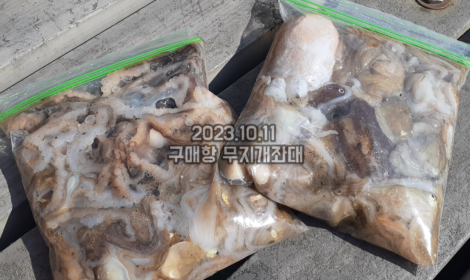 23aa04d83a279e830a3112d39f2d770e_1697007714_0673.jpg 10월11일 조황 5종세트 - 갑오징어, 주꾸미, 호레기, 광어, 우럭