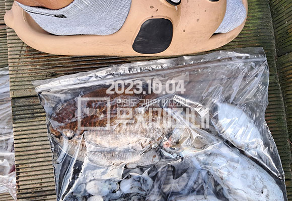 43e5b1d29ec2029d6594fc695afc231d_1696405530_7396.jpg 10월4일 신발짝 갑오징어낚시 조황 시간배