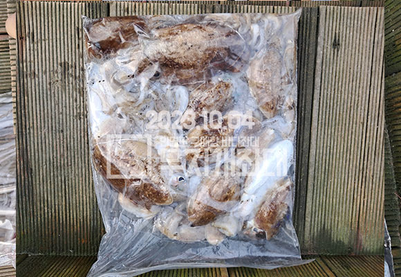 43e5b1d29ec2029d6594fc695afc231d_1696405530_8094.jpg 10월4일 신발짝 갑오징어낚시 조황 시간배
