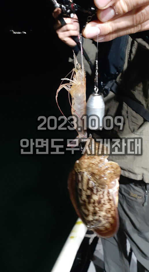 796f37ab4f7f62d5671ee9ed7cd47e87_1696913401_5855.jpg 10월09일 갑오징어 주꾸미 조황 안내