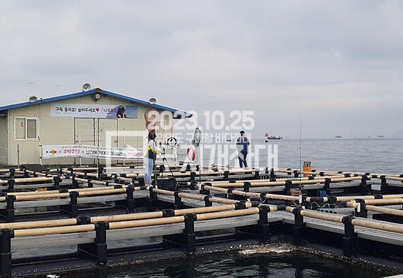 ac3b17b5877abdeb5446d1e919839323_1698194230_807.jpg 10월 25일 안면도 구매항좌대 조황 나무튜브님 방문