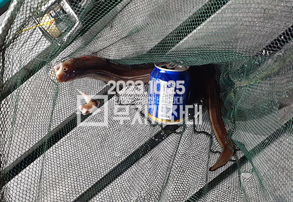 ac3b17b5877abdeb5446d1e919839323_1698194231_0237.jpg 10월 25일 안면도 구매항좌대 조황 나무튜브님 방문