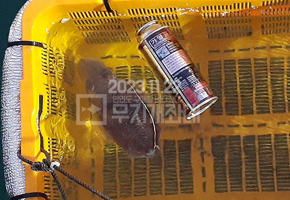 안면도야간좌대 무지개좌대 11월 22일 조황