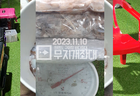 11월 10일 안면도 구매항 야간좌대 조황 - 갑오징어 주꾸미