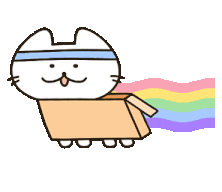 나무튜브님 무지개좌대 방문 조행기2 - 시간배체험낚시