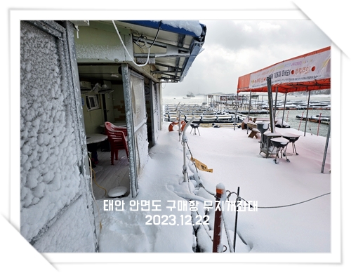 겨울왕국- 겨울 서해좌대낚시 바다좌대낚시터 모습