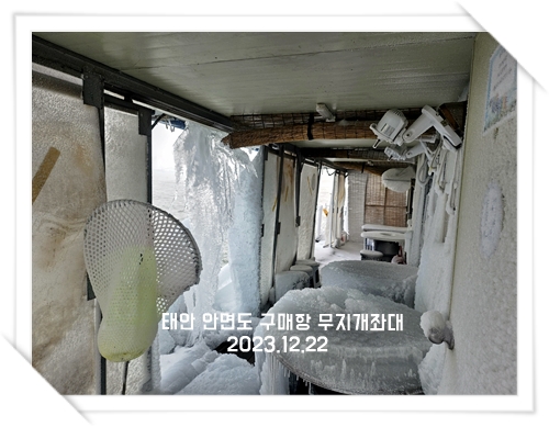 겨울왕국- 겨울 서해좌대낚시 바다좌대낚시터 모습