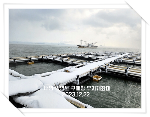 겨울왕국- 겨울 서해좌대낚시 바다좌대낚시터 모습