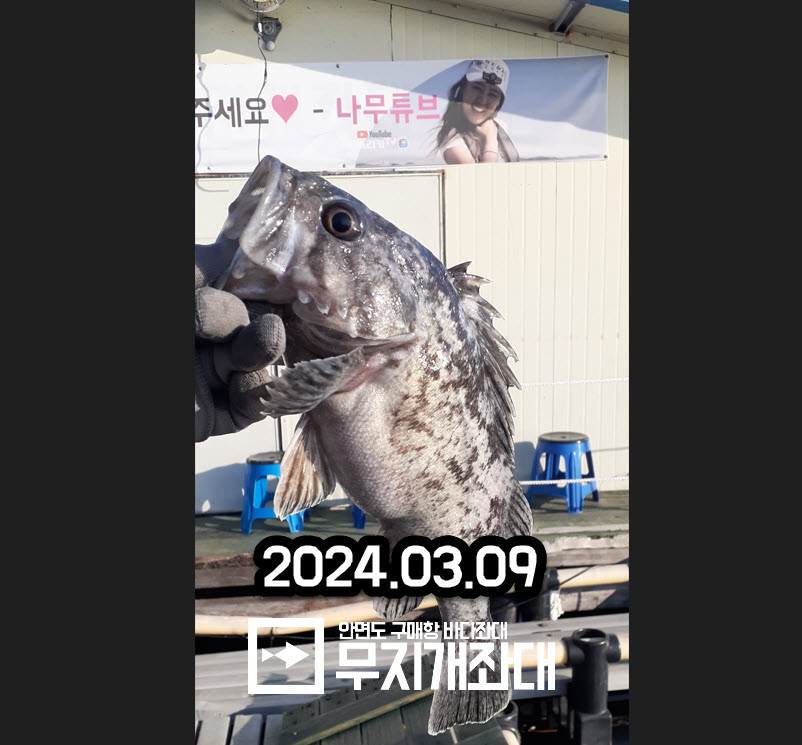 안면도좌대낚시 사리물때 우럭낚시 조황