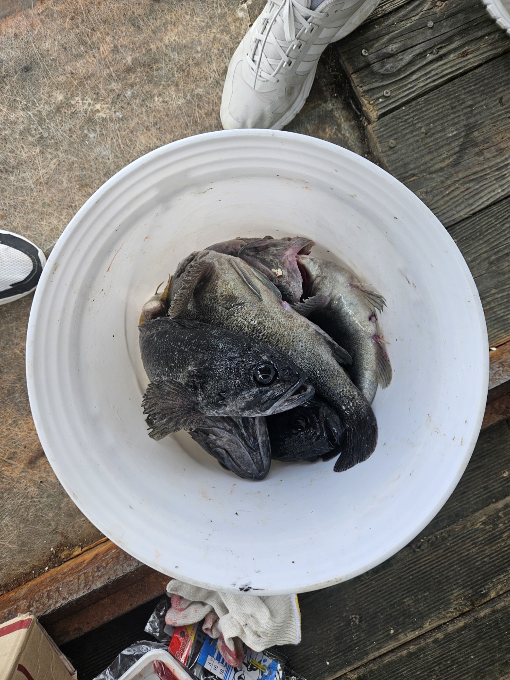 잘 놀구 잘 먹고 왔습니다.~^^