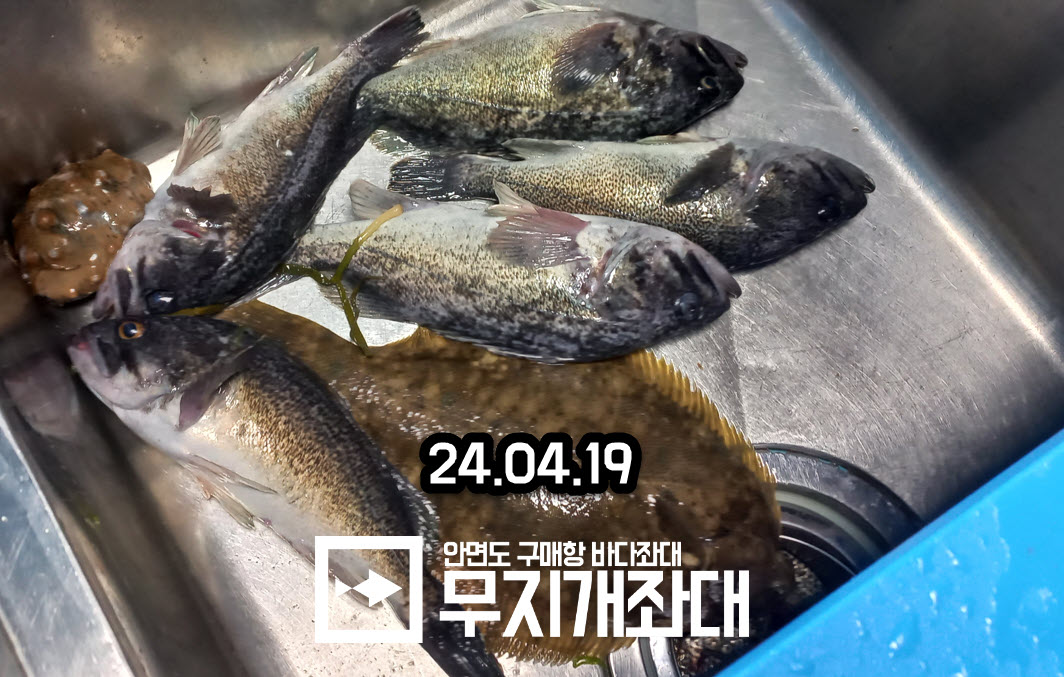 0419 야간좌대 조황안내 - 도다리, 전어, 놀래미