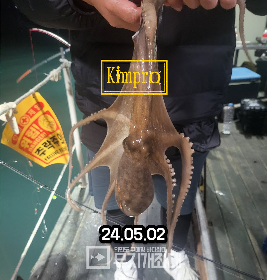 0502-낙지,박하지 조황안내