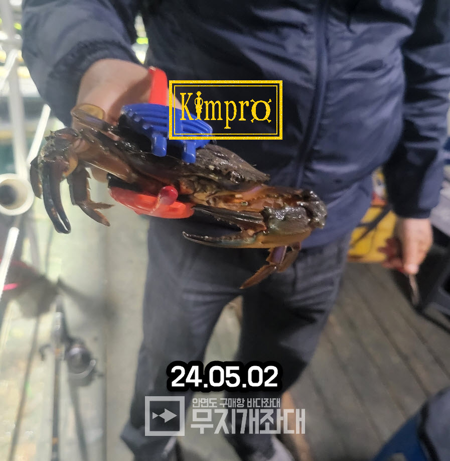 0502-낙지,박하지 조황안내