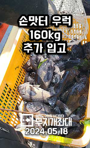 우럭 160kg 추가 입고 안내