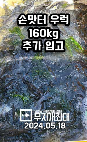 우럭 160kg 추가 입고 안내