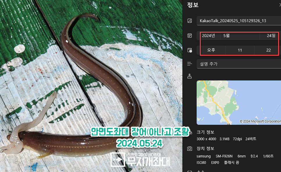 5월 24일 사리물때 안면도좌대 낚시조황 안내 - 우럭, 갑오징어,장어
