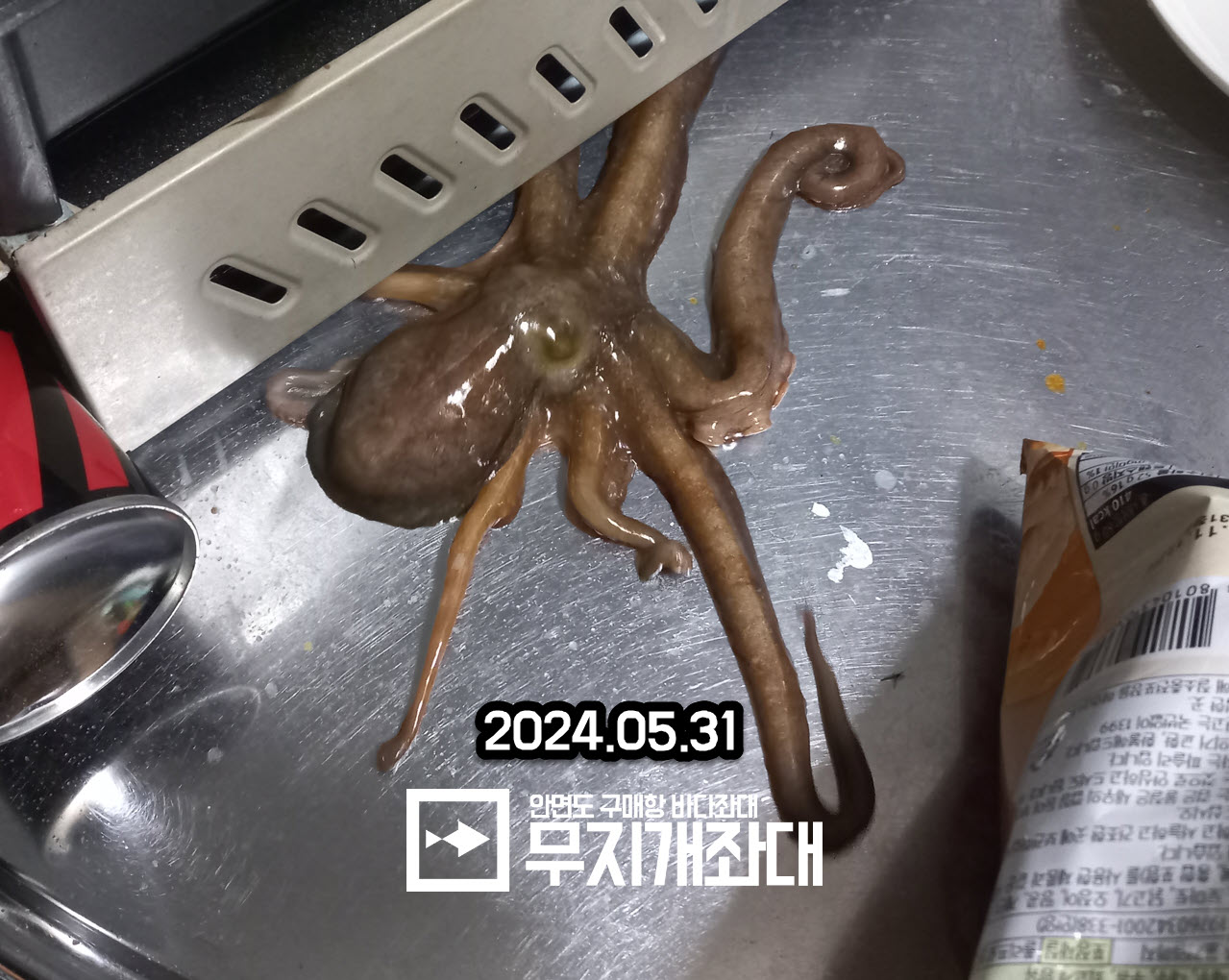 5월 31일 야간좌대낚시 조황