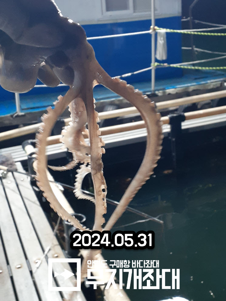 5월 31일 야간좌대낚시 조황