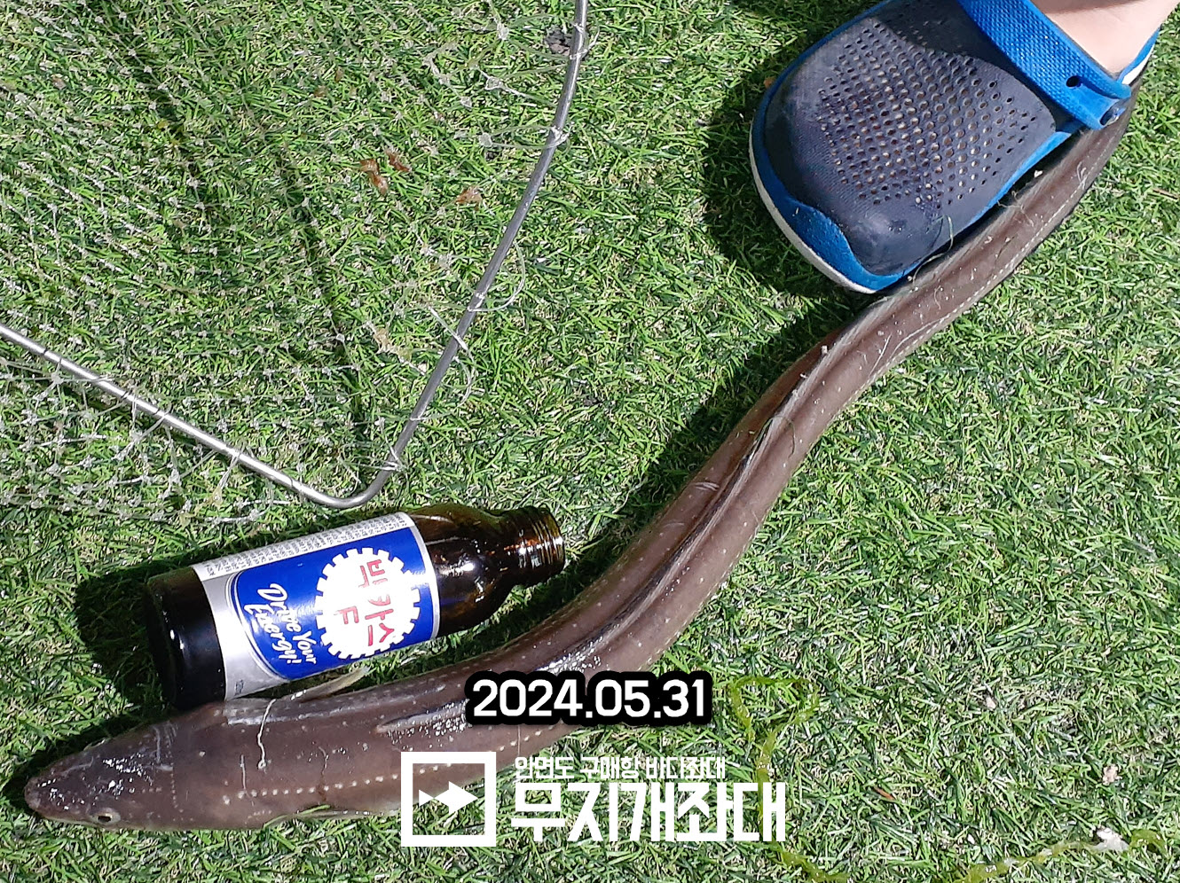 5월 31일 야간좌대낚시 조황