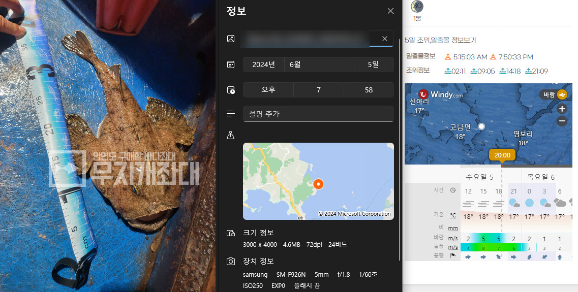 6월5일 조황 안내 - 아귀 아따, 그놈 성깔있네~