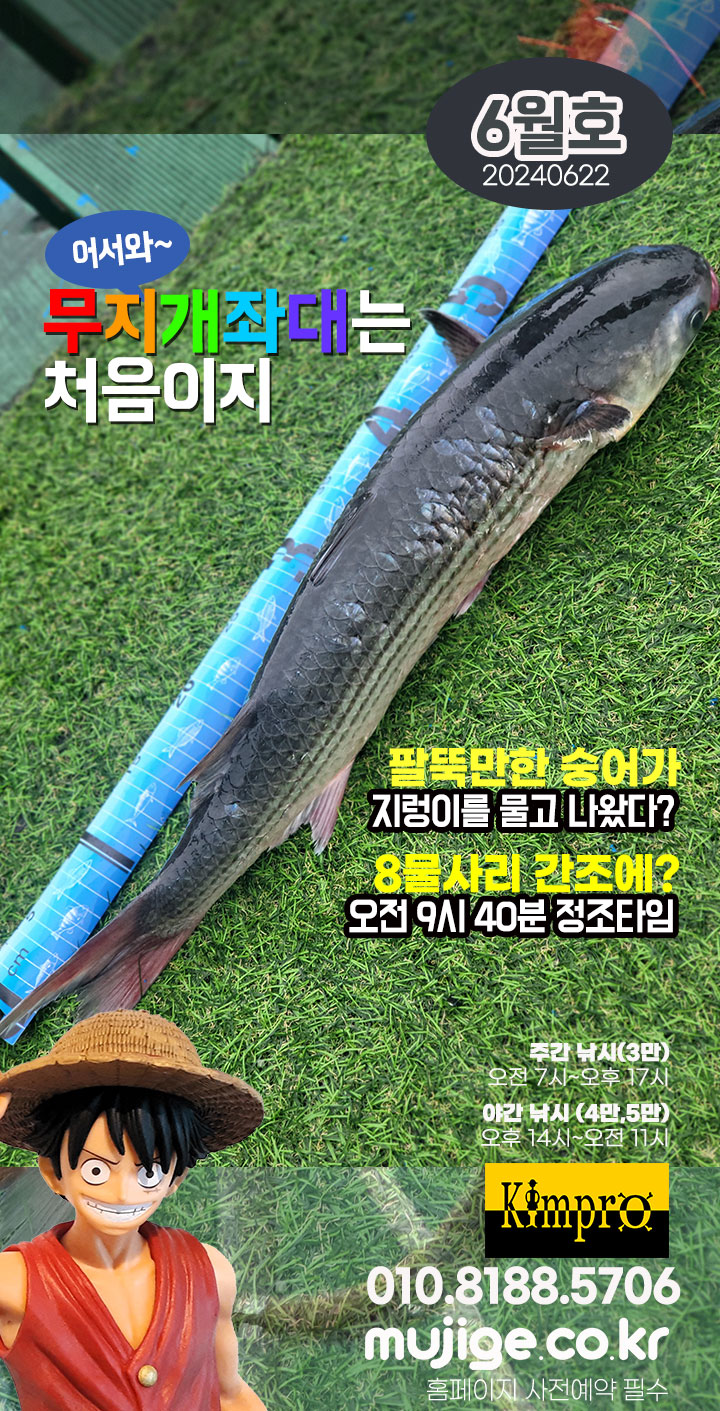 6월22일 조황 - 붕장어(아나고), 숭어 (8물 사리때)