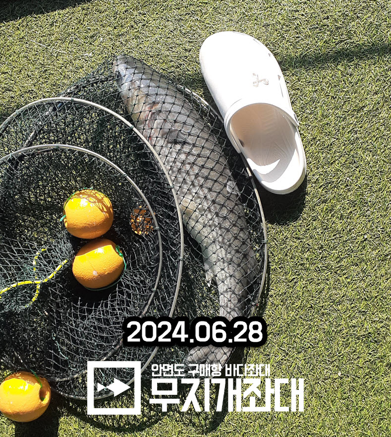 6월 28일 무지개좌대 조황안내