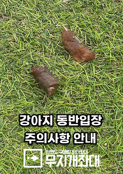 강아지 동반입장 주의사항(필독) 안내