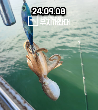 09-08 시간배낚시 주꾸미 조황
