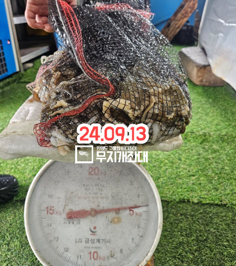 09-13 시간배 주꾸미 낚시 조황