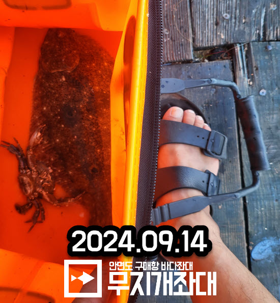 0914- 광어 주꾸미 조황