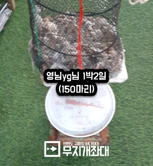 영님yg님 1박2일 주꾸미 좌대낚시 150마리