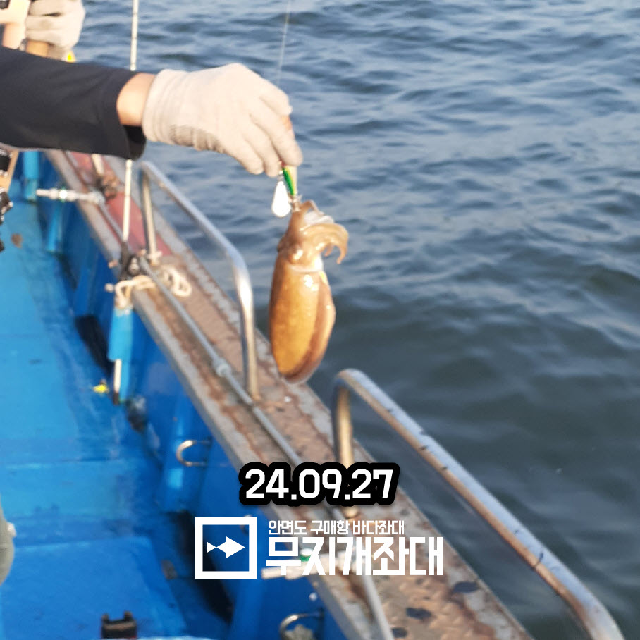 0927 갈치, 쭈꾸미, 갑오징어 풍족한 가을 조황안내