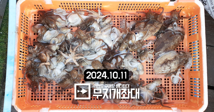 10.11 쭈꾸미낚시 갑오징어 조황안내