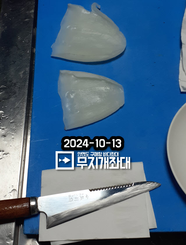 10-13 갑오징어 주꾸미 조황 안내