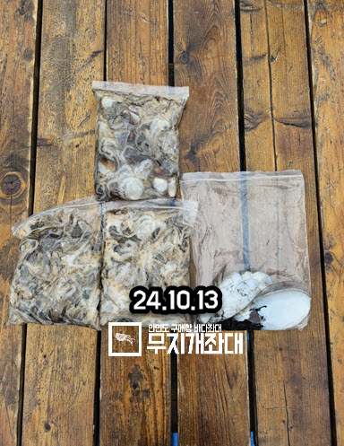 10월13일 오후 안면도좌대 주꾸미낚시 시간배조황