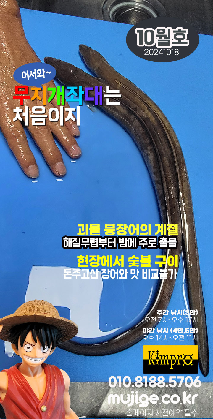 10-18 태안좌대조황 - 붕장어, 삼치, 고등어