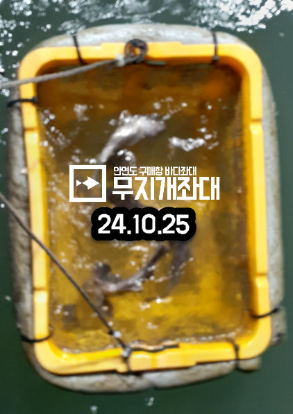 10-25 우럭, 붕장어, 고등어, 갈치
