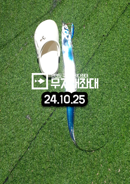 10-25 우럭, 붕장어, 고등어, 갈치